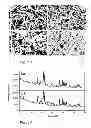 Fig. 04 - Composition