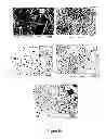Fig. 16 - Composition
