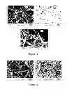 Fig. 19 - Composition