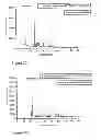 Fig. 24 - Composition