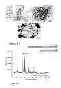 Fig. 26 - Composition