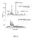 Fig. 29 - Composition