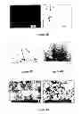 Fig. 34 - Composition