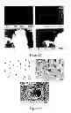 Fig. 36 - Composition