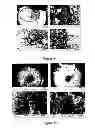 Fig. 37 - Composition