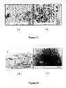 Fig. 39 - Composition