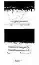 Fig. 42 - Composition