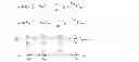 Fig. 02 - State estimation for power system using hybrid measurements