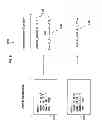 Fig. 08 - Decode time instruction optimization for load reserve and store conditional sequences