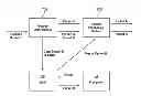 Fig. 01 - Detecting network traffic content