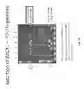 Fig. 35 - Animal models and therapeutic molecules