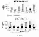 Fig. 59 - Animal models and therapeutic molecules