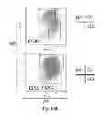 Fig. 75 - Animal models and therapeutic molecules