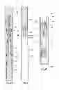 Fig. 04 - Gas generator for pressurizing downhole samples