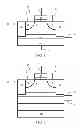 Fig. 02 - Memory device having electrically floating body transitor