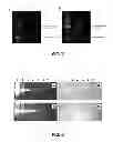 Fig. 05 - Aggregation induced emission of fluorescent bioprobes and methods of using the same