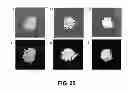 Fig. 14 - Aggregation induced emission of fluorescent bioprobes and methods of using the same