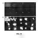 Fig. 19 - Aggregation induced emission of fluorescent bioprobes and methods of using the same