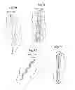 Fig. 20 - Mechanical method and apparatus for bilateral tissue fastening