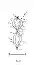 Fig. 06 - Vascular remodeling device