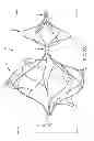 Fig. 26 - Vascular remodeling device