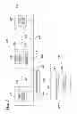 Fig. 08 - LIGHT BAR EXTERIOR CABLE JUNCTION BOX