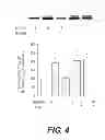Fig. 07 - Abnormalities of Phosphatase 2A (PP2A) for Diagnosis and Treatment of Alzheimer's Disease