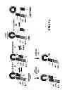 Fig. 16 - STABILIZATION OF CYCLIC PEPTIDE STRUCTURES