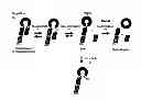 Fig. 18 - STABILIZATION OF CYCLIC PEPTIDE STRUCTURES