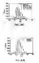 Fig. 28 - STABILIZATION OF CYCLIC PEPTIDE STRUCTURES