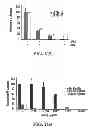 Fig. 30 - STABILIZATION OF CYCLIC PEPTIDE STRUCTURES