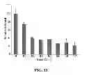 Fig. 31 - STABILIZATION OF CYCLIC PEPTIDE STRUCTURES