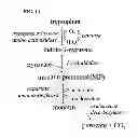 Fig. 09 - POLYPEPTIDES AND BIOSYNTHETIC PATHWAYS FOR THE PRODUCTION OF MONATIN AND ITS PRECURSORS