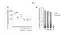 Fig. 08 - Depletion of host cell components from live vector vaccines