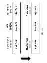 Fig. 07 - Nucleic acid sample preparation