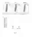 Fig. 08 - DIAGNOSTIC MARKER FOR MELANOMA, PHARMACEUTICAL COMPOSITION COMPRISING INHIBITOR OF THE FUNCTION OF THE HISTATIN-1 PROTEIN AND IMMUNOSUPPRESSOR