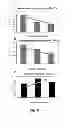 Fig. 09 - DIAGNOSTIC MARKER FOR MELANOMA, PHARMACEUTICAL COMPOSITION COMPRISING INHIBITOR OF THE FUNCTION OF THE HISTATIN-1 PROTEIN AND IMMUNOSUPPRESSOR