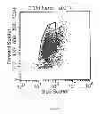 Fig. 06 - ENGRAFTMENT POTENTIAL OF EMBRYONIC STEM CELLS AND PLURIPOTENT STEM CELLS USING MICRO RNAs