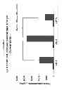 Fig. 06 - HUMAN ADIPOCYTE-DERIVED BASEMENT MEMBRANE FOR TISSUE ENGINEERING APPLICATIONS