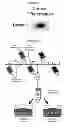 Fig. 07 - HUMAN ADIPOCYTE-DERIVED BASEMENT MEMBRANE FOR TISSUE ENGINEERING APPLICATIONS