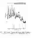 Fig. 05 - Nanoparticles of cerium and amino acids