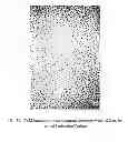 Fig. 11 - Nanoparticles of cerium and amino acids