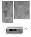 Fig. 07 - PROCESS FOR THE PRODUCTION OF PHOTOVOLTAIC CELLS