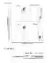 Fig. 49 - Selective anticancer chimeric peptides which bind neuropilin receptor