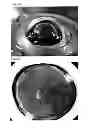 Fig. 23 - INJECTOR FOR EYE