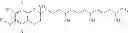 Fig. 02 - Method for the continuous production of water absorbent polymer particles
