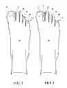 Fig. 02 - Toe Spacer Sock and Corrective Footwear