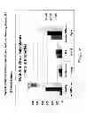 Fig. 09 - Fruit fiber article and manufacturing thereof