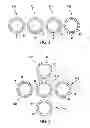 Fig. 04 - Electromagnetic system with magnetically coupled rotors