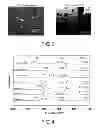 Fig. 03 - ALLOY COMPOSITION, FE-BASED NANO-CRYSTALLINE ALLOY AND FORMING METHOD OF THE SAME AND MAGNETIC COMPONENT